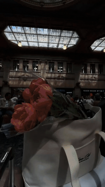 Randoms of this year